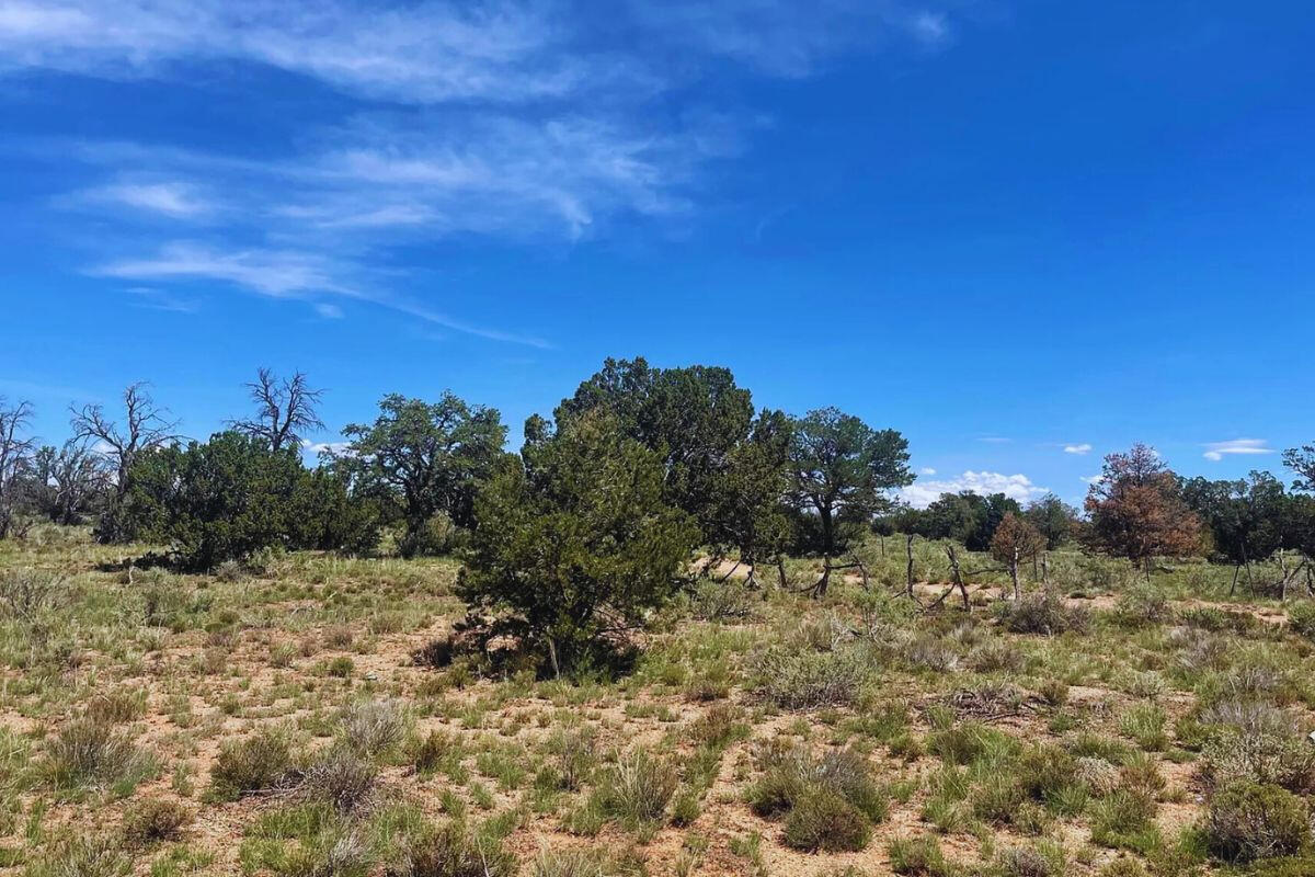Deep 5 Lots of Trees - 852 S WEDGEWOOD DR WILLIAMS, AZ 86046