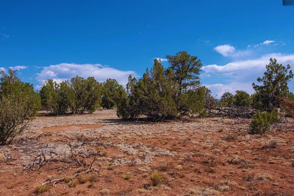 Deep 5 Lots of Trees - 852 S WEDGEWOOD DR WILLIAMS, AZ 86046