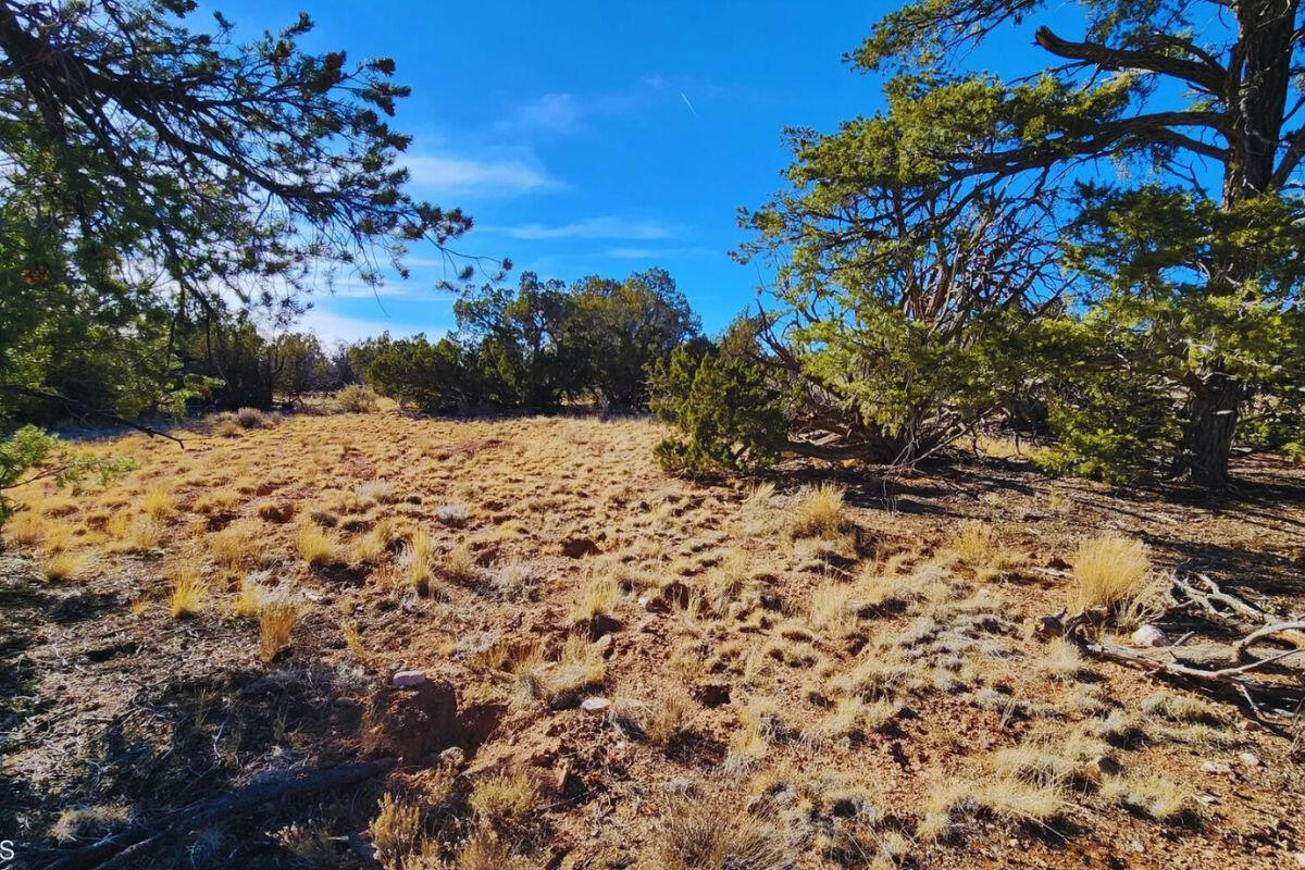 Deep 5 Lots of Trees - 852 S WEDGEWOOD DR WILLIAMS, AZ 86046